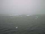 Drift ice 79° 59' N