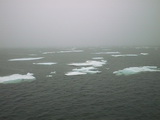 Drift ice 79° 59' N