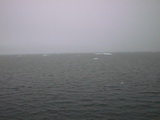 Drift ice 79° 59' N
