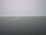 Drift ice 79° 59' N