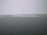 Drift ice 79° 59' N
