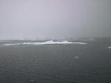 Drift ice 79° 59' N