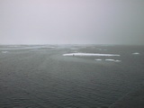 Drift ice 79° 59' N - Robbe