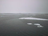 Drift ice 79° 59' N - Robbe