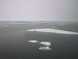 Drift ice 79° 59' N - Robbe