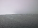 Drift ice 79° 59' N