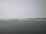 Drift ice 79° 59' N