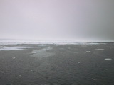 Drift ice 79° 59' N