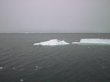 Drift ice 79° 59' N