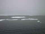 Drift ice 79° 59' N