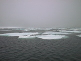 Drift ice 79° 59' N