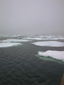 Drift ice 79° 59' N