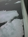 Drift ice 79° 59' N