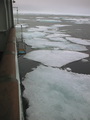 Drift ice 79° 59' N