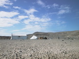 Blomstrand