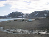 Blomstrand