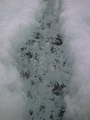 Blomstrandbreen - Trip 6