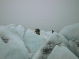 Blomstrandbreen - Trip 6