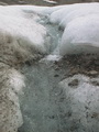 Blomstrandbreen - Trip 7