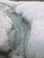 Blomstrandbreen - Trip 7