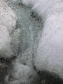 Blomstrandbreen - Trip 7