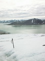 Blomstrandbreen - Trip 7