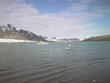 Blomstrandbreen - Trip 7