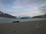 Blomstrandbreen - Trip 7