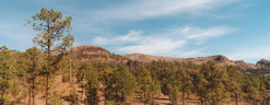 El Teide