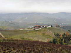 Castiglione Falletto (I)
