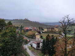 Barolo (I)