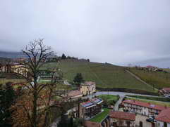 Barolo (I)