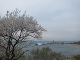 Wladiwostok (Vladivostok)