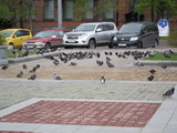 Kabarovsk (Russland)