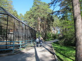 Novosibirsk (Russland)