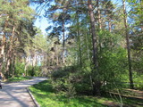 Novosibirsk (Russland)